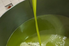 Ernte-Ölmühle-Es-ist-vollbracht-2