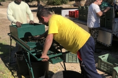 Ernte-Eindrücke-Das-Vorbereiten-2