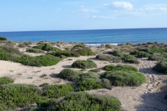 Mare-Ionio-Dune-di-sabbia-2