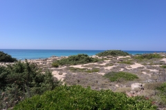 Mare-Ionio-Dune-di-sabbia-3