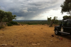 2016-07-Mähaktion-1