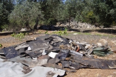 Entsorgungs-Aufräumarbeiten-2