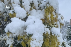 Schnee-in-Apulien-Winter-01-2021-1