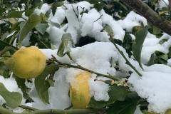 Schnee-in-Apulien-Winter-01-2021-4